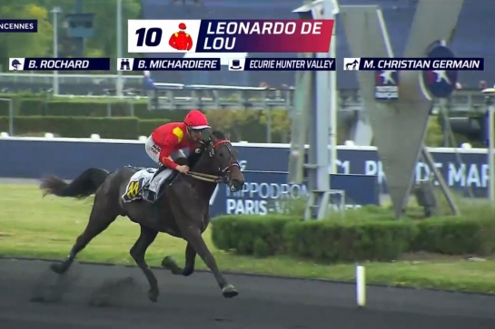 ..LEONARDO DE LOU ( Express jet-Forest devil par Real de lou)