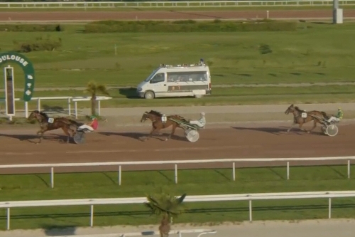 KING GEORGES ELLIS (Bold eagle-Volvoreta de lou par...