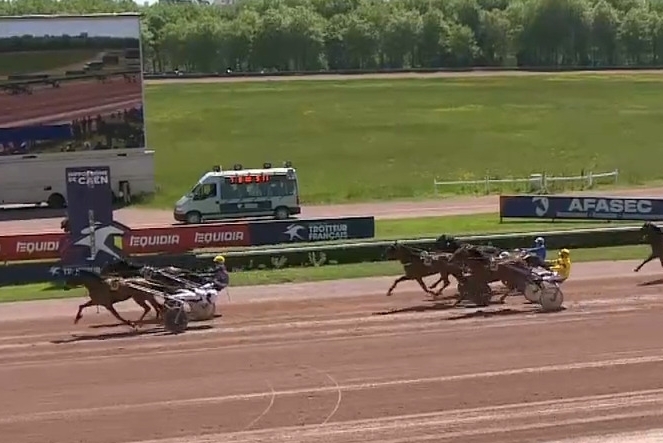 MELOMANE DE LOU (Fabulous wood-Diva de Lou par Love You)...