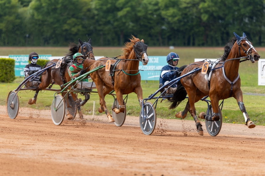 ..MIGUEL DE LOU (Real de lou-Giulia d