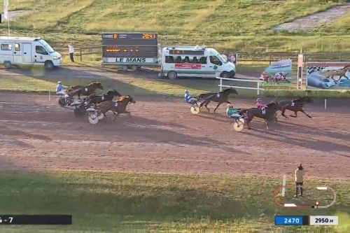 MANDARINA DE LOU (Love you-Saba du vivier par Ganymède)