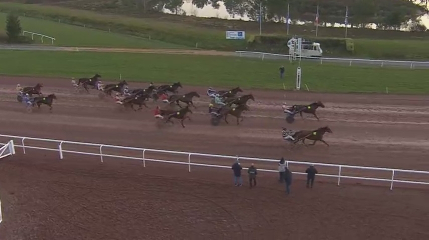 EPONA DU PASSAGE (Real de lou-Tinou girl)