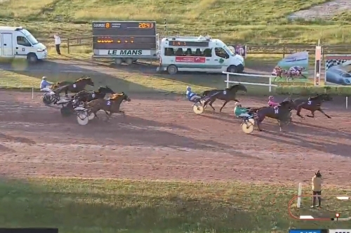 MIRELLA DE LOU (Eridan- Unora de Lou par Goetmals wood)...