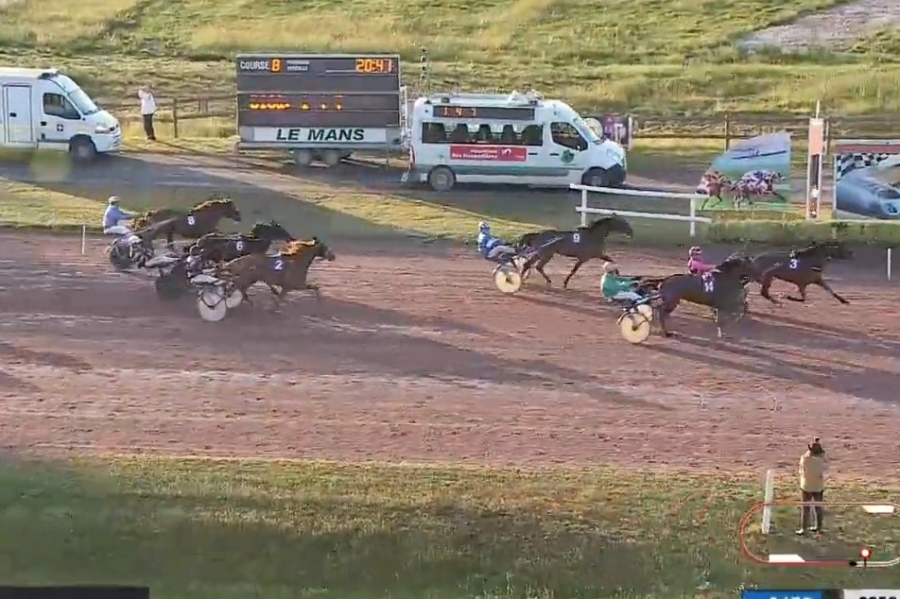 MIRELLA DE LOU (Eridan- Unora de Lou par Goetmals wood)...