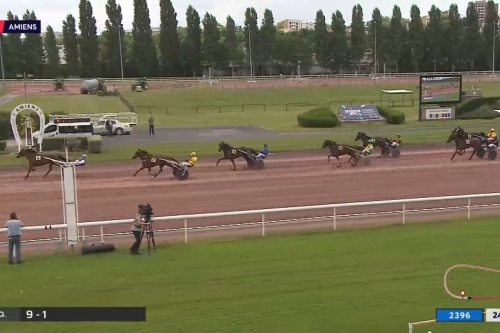 ..LA PERLA DE LOU (Goetmals wood-Donatella de Lou par...