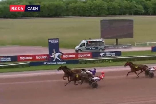 MAXIMILIANO DE LOU (Ecu pierji-Daytona Sacha par Real de Lou)..