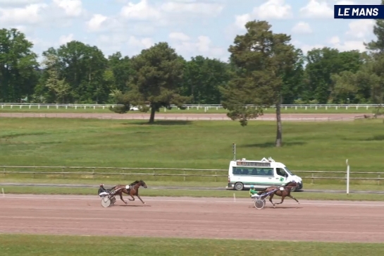 NORA D'ELCE (Real de Lou-Dorada de Lou par Sam bourbon)...