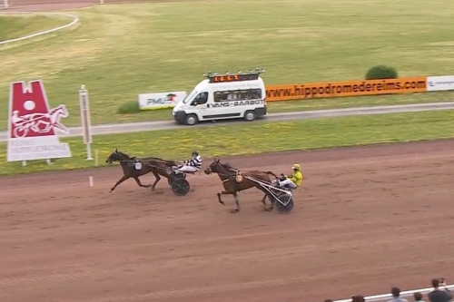 MIRELLA DE LOU (Eridan- Unora de Lou par Goetmals wood)...