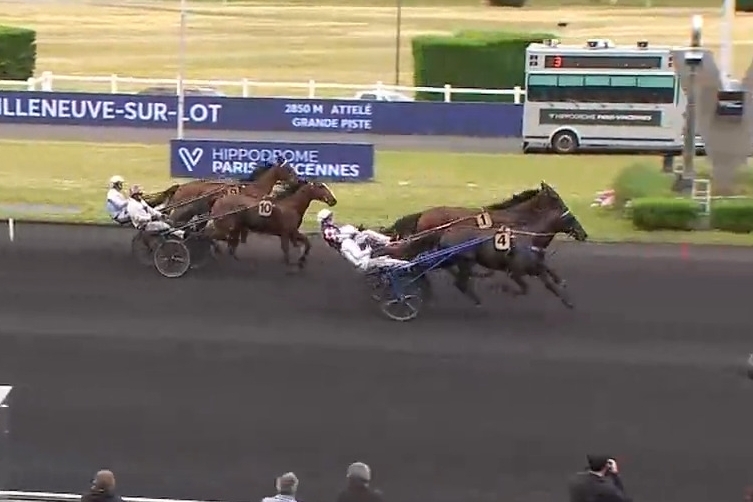 LOMBARDO DE LOU (Fabulous wood-Tanga de Lou par Kiwi)...