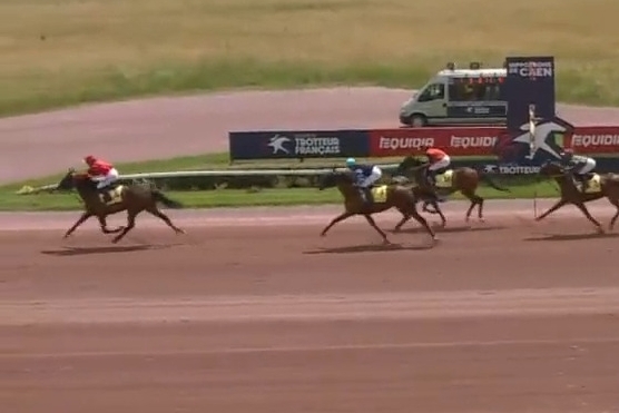 .LA STORIA DE LOU (Excellent-Bellissima de Lou par Saxo de Vandel)..