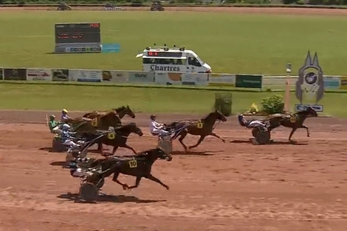 JOKO DE LOU (Real de Lou- Carla de Lou par Quaro)...