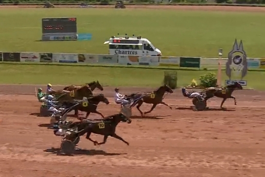 JOKO DE LOU (Real de Lou- Carla de Lou par Quaro)...