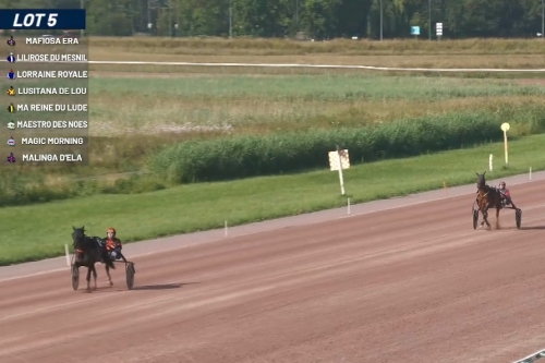 LUSITANA DE LOU (Real de Lou- Carmensita de Lou par The...