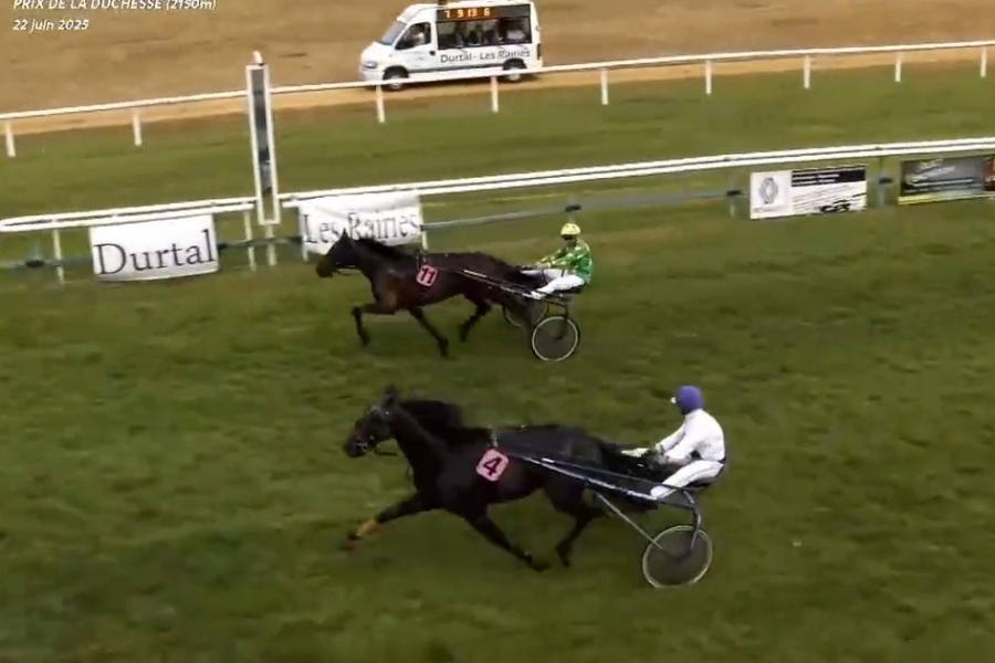 MOGADOR DE LOU (Un mec d'héripré-Gisela de Lou par Goetmals wood)...