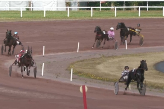 MUST DE LOU (Fabulous wood-Daida de vandel par Real de Lou) ...