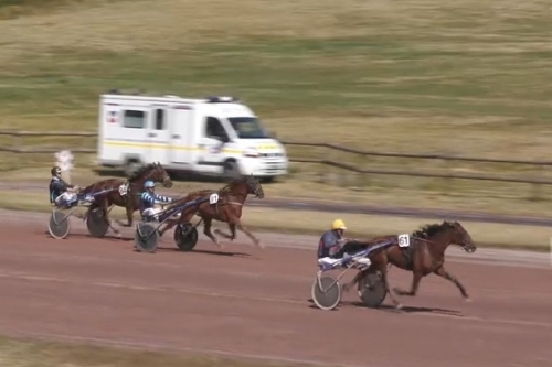 NAPOLITA DE LOU (Love you-Saba du vivier par Ganymede)...