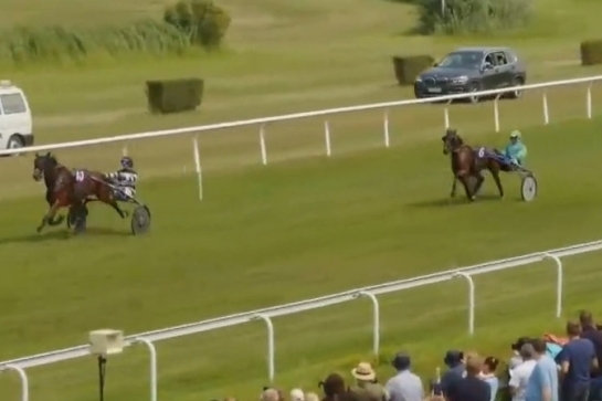 ..MIGUEL DE LOU (Real de lou-Giulia de lou par Quaker jet)