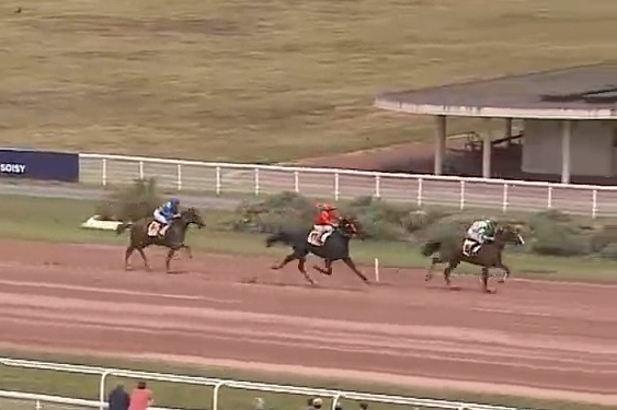 ..LEONARDO DE LOU ( Express jet-Forest devil par Real de lou)