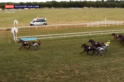 JOKO DE LOU (Real de Lou- Carla de Lou par Quaro)...