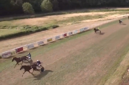 JIDI DE LOU (Timoko-Bellissima de lou par Saxo de vandel)...