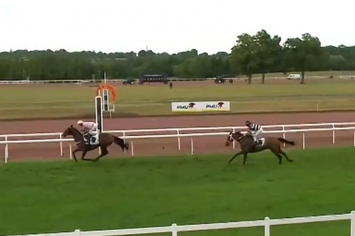 LOU MARINA (Kapgarde- Lou Emerald par Turgeon)...