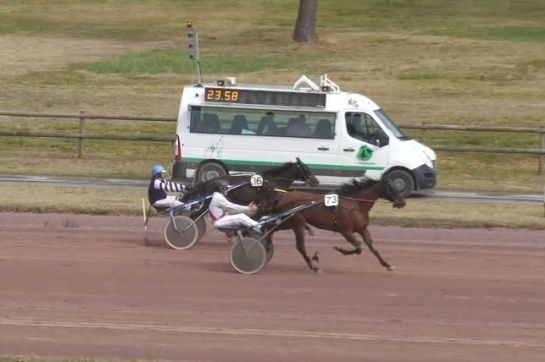 NARISSA DE LOU (Brillantissime- Selecao de lou par Jag de Belloet)...