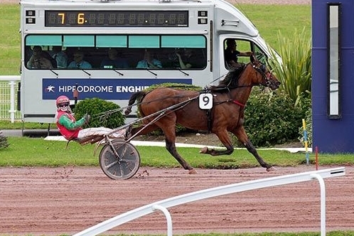 L'AS DE SMARVES (Excellent-Fiorentina de Lou par Love...