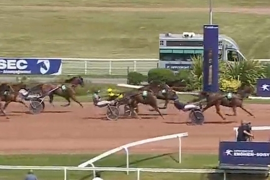 MAGICO DE LOU (Un mec d'héripré-Flora de Lou)...