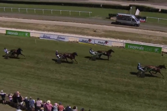 MUST DE LOU (Fabulous wood-Daida de vandel par Real de Lou)...