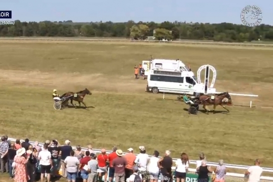 MALADETTA DE LOU (Excellent-Amarena de Lou)