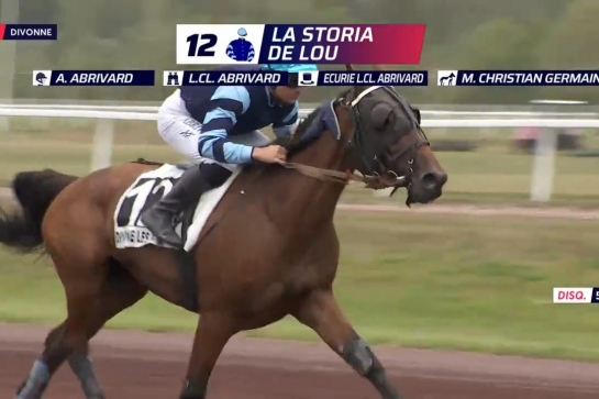 .LA STORIA DE LOU (Excellent-Bellissima de Lou par Saxo de Vandel)..