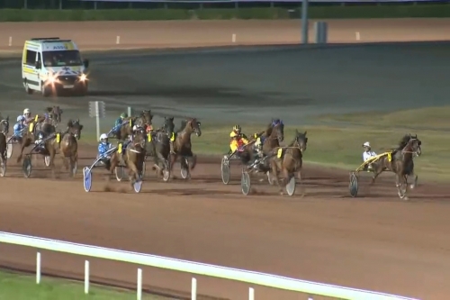 IMANOLO DE LOU (Booster winner-Star de Tembia)...