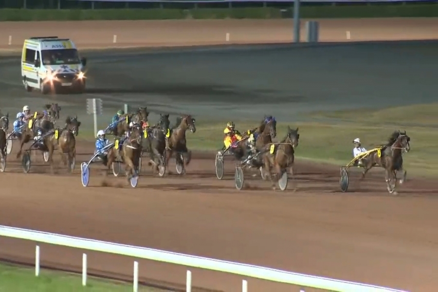 IMANOLO DE LOU (Booster winner-Star de Tembia)...