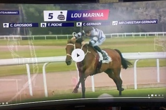 LOU MARINA (Kapgarde- Lou Emerald par Turgeon)...