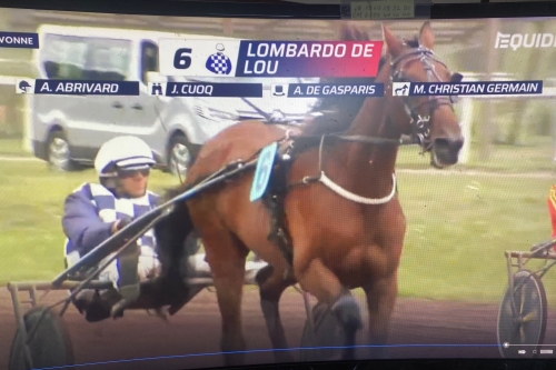 LOMBARDO DE LOU (Fabulous wood-Tanga de Lou par Kiwi)...