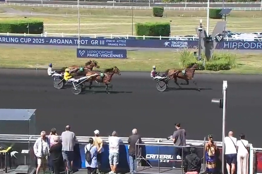 MAGICO DE LOU (Un mec d'héripré-Flora de Lou)...