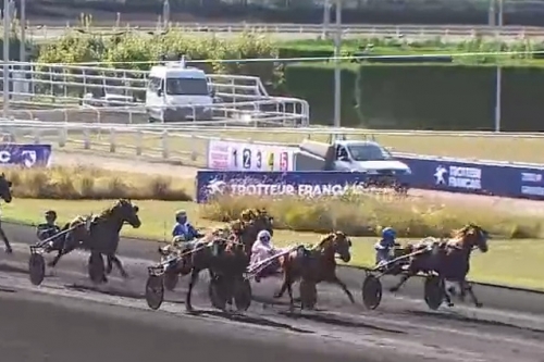 JUNON DE LOU (Real de Lou- Saba du vivier par Ganymède)...