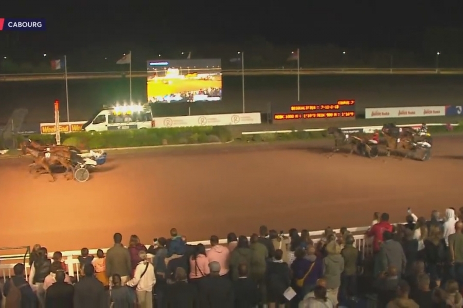 MIRELLA DE LOU (Eridan- Unora de Lou par Goetmals wood)...