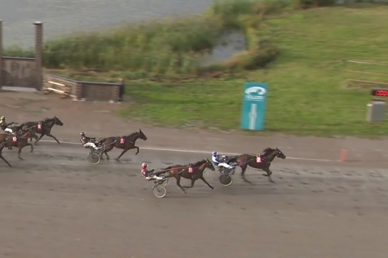 KYOTO DE LOU ( Ouragan de Celland- Esmeralda de Lou par Real de Lou))  ...
