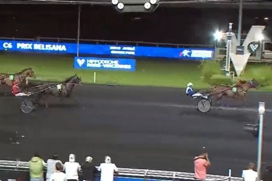 .LEONARDO DE LOU (Express.jet- Forest devil par Real de Lou).