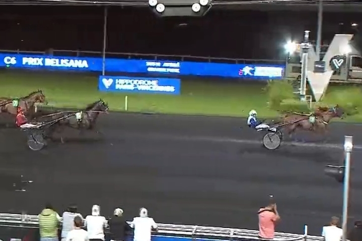 .LEONARDO DE LOU (Express.jet- Forest devil par Real de Lou).