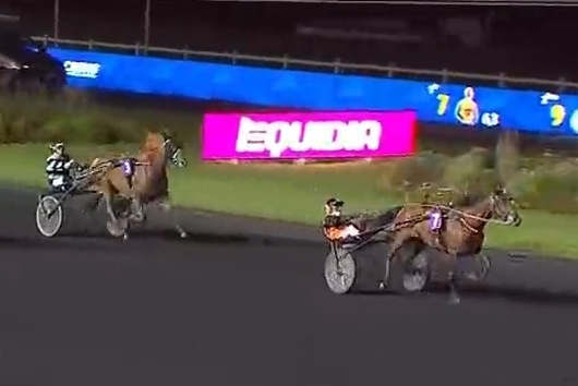 MANDARINA DE LOU (Love you-Saba du vivier par Ganymède).