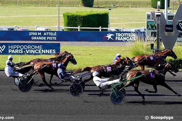 MAGICO DE LOU (Un mec d'héripré-Flora de Lou)...