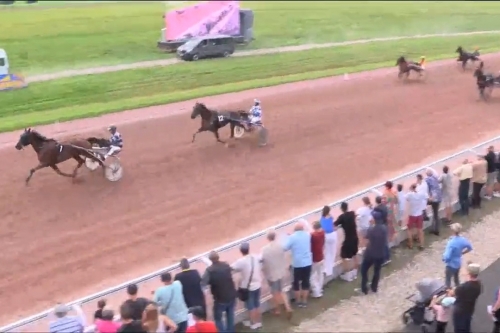 MAESTRO DE LOU (Real de Lou -Bahama de lou par Quatre...