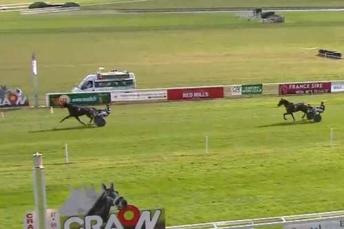 ..MIGUEL DE LOU (Real de lou-Giulia de lou par Quaker jet)