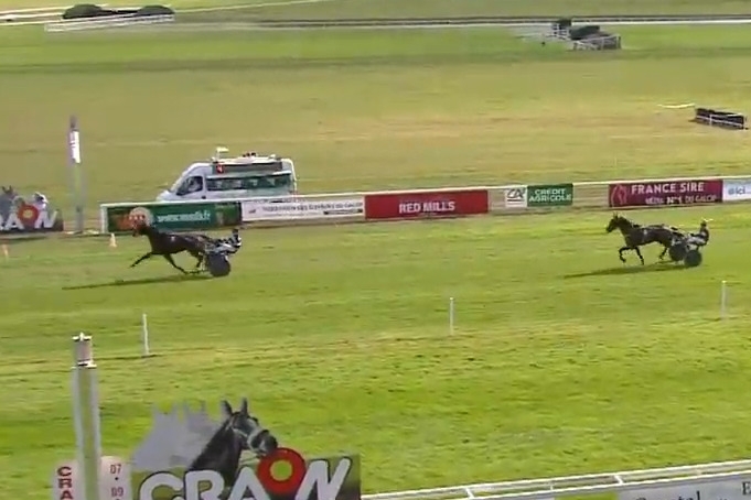 ..MIGUEL DE LOU (Real de lou-Giulia de lou par Quaker jet)