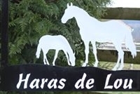 .Poulinières disponibles.