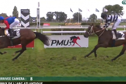 ..LOU MARINA ( Kapgarde - Lou Emerald par turgeon).