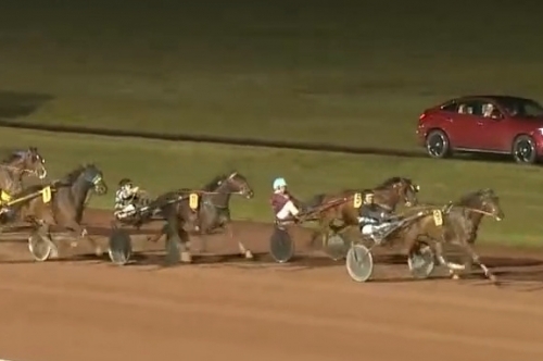 JAMAICA DE LOU (Real de lou-Unora de Lou par Goetmals...