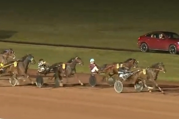 JAMAICA DE LOU (Real de lou-Unora de Lou par Goetmals wood))...